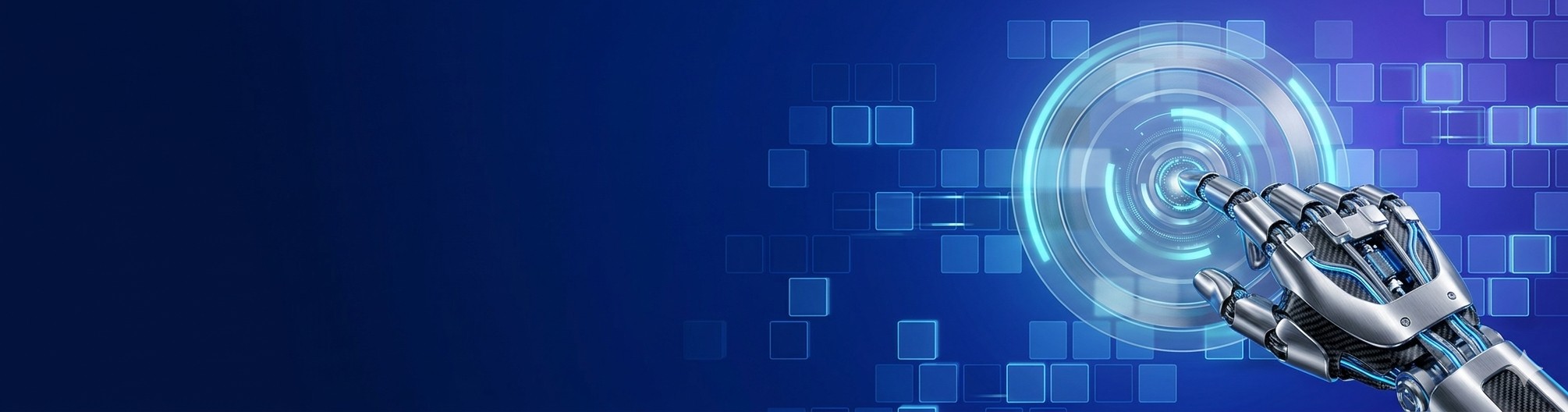 Tally Software Services Banner